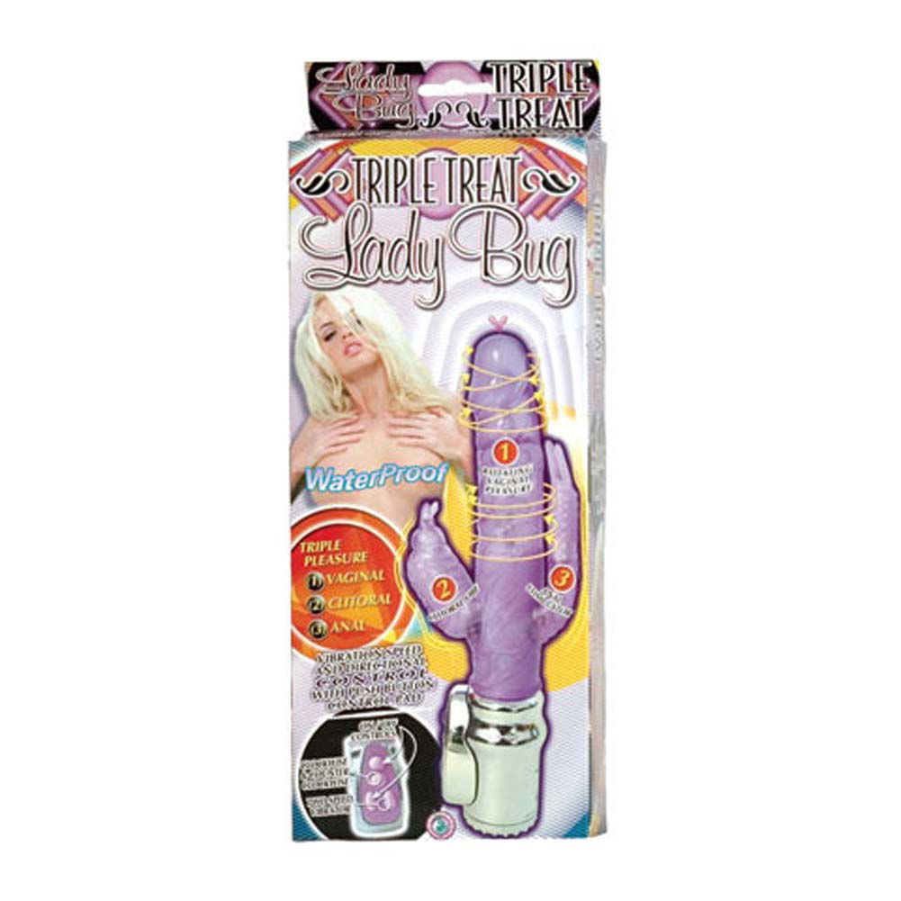 kiara fucks grayvee lady bug vibrator