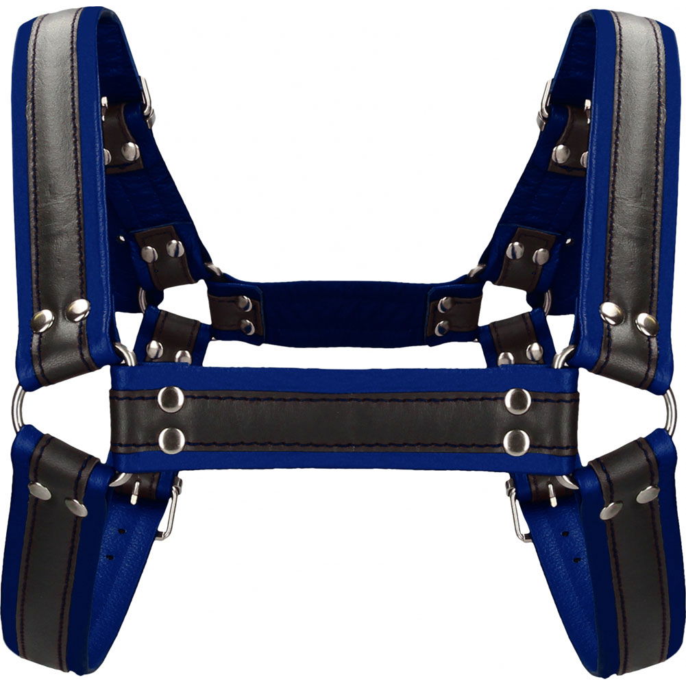 Ouch Buckle Bulldog Male Chest Harness, Small/Medium, Blue - dearlady.us